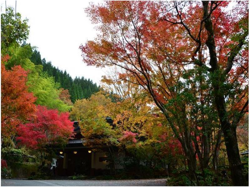 Ryokan Okunoyu Minamioguni Zewnętrze zdjęcie